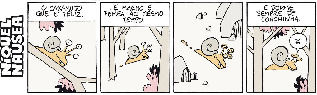 A tira tem quatro quadrinhos. Um caramujo passeia. Quadrinho 01: Legenda: O caramujo que é feliz. O caramujo com cara de feliz passeia em um galho. Quadrinho 02: Legenda: É macho e fêmea ao mesmo tempo. O caramujo passeia entre as árvores. Quadrinho 03: O caramujo passeia entre as pedras. Quadrinho 04: Legenda: E dorme sempre de conchinha. O caramujo dormindo e um balão com a letra Z.