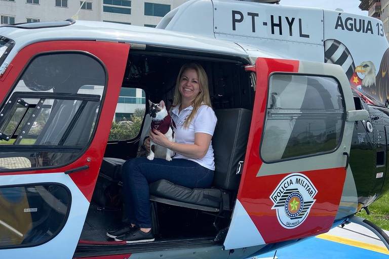 Gato terapeuta trabalha em hospitais e abrigos de São Paulo