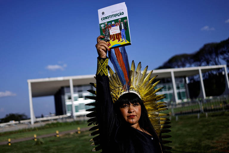 Os indígenas na política brasileira