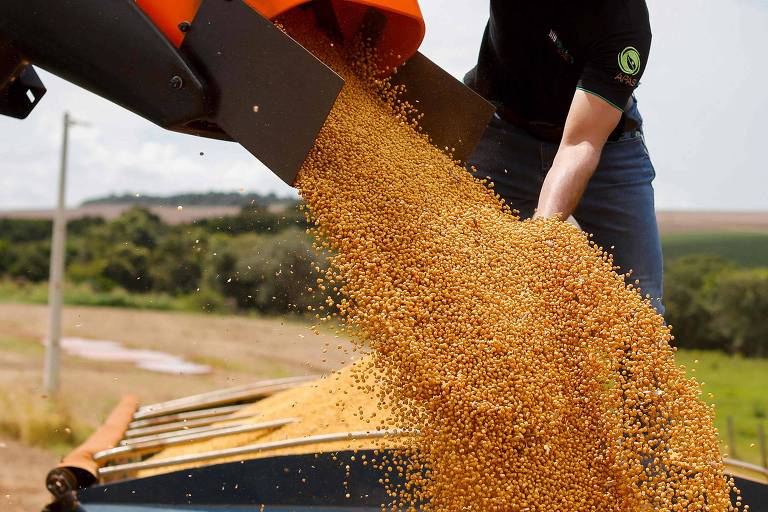 O futuro do agro e o papel da Bolsa