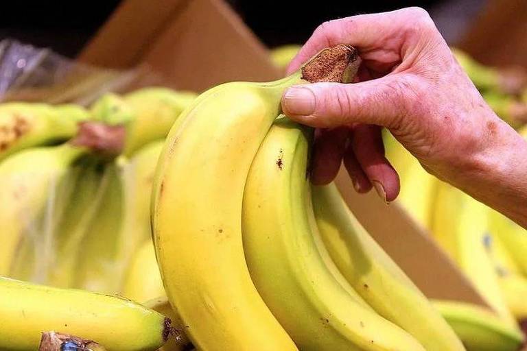 'Preço de banana'? Clima mais quente deve deixar fruta mais cara