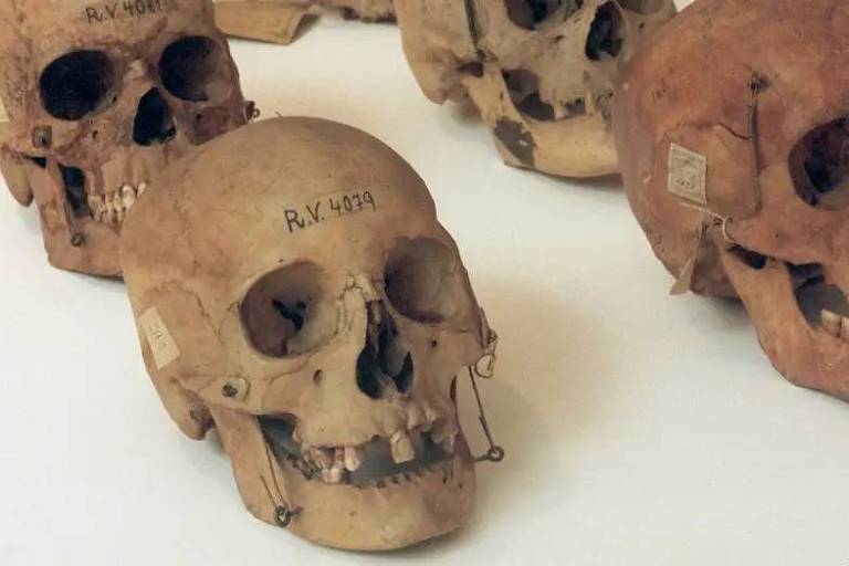 O dilema sobre restos humanos nos acervos de museus alemães