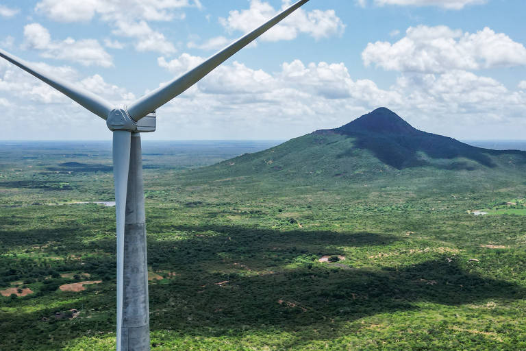 Empresas querem incentivo do governo a pesquisa sustentável e energia limpa, diz estudo