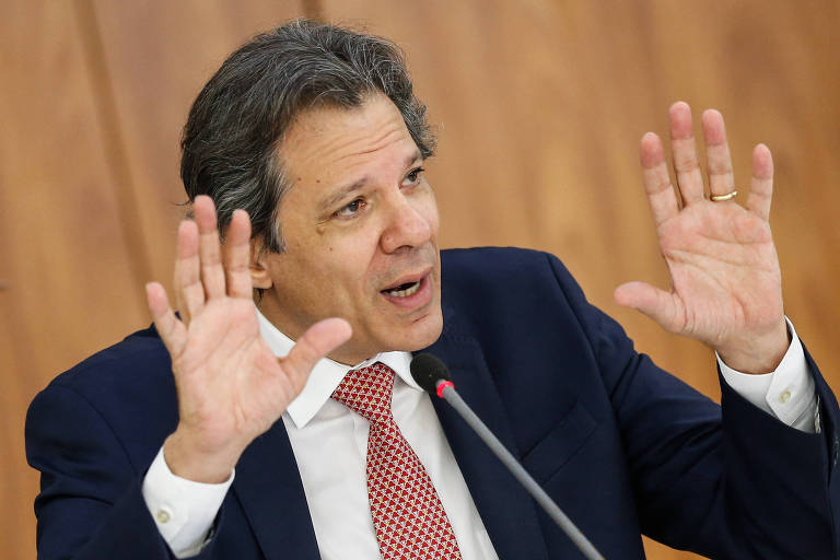 Existe um risco de patrimonialismo verde no Brasil, diz Haddad