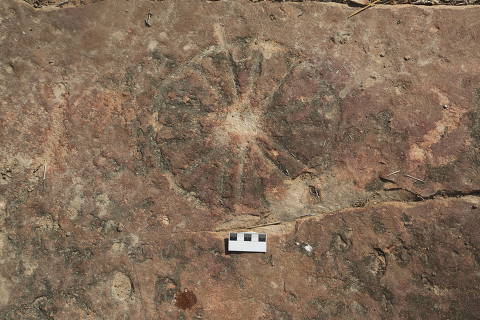 Pesquisadores encontram marcas de dinossauros e arte rupestre no sítio Serrote do Letreiro, na cidade de Sousa, na Paraíba