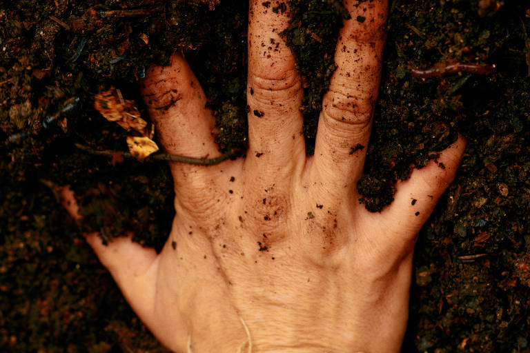Por que sujar suas mãos com um pouco de terra pode fazer bem à saúde