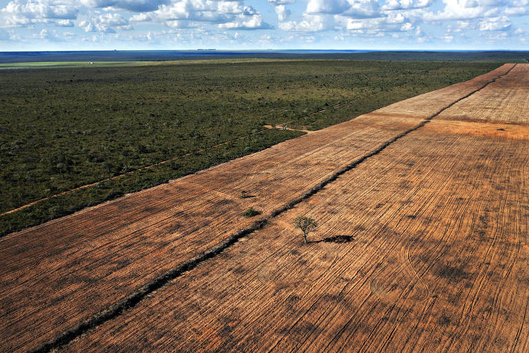 Folha percorre quase 3.000 km no coração do cerrado em série sobre desmatamento