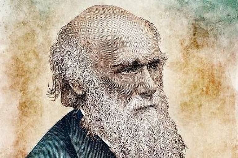 Como viagem de Darwin ao Brasil influenciou a teoria da evolução