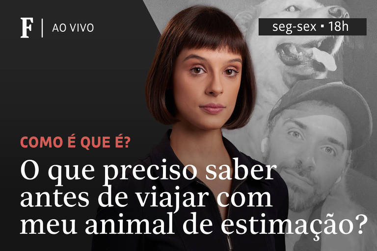 O que preciso saber antes de viajar com meu animal de estimação?