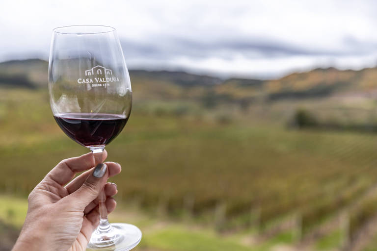 Compre um vinho produzido no Rio Grande do Sul