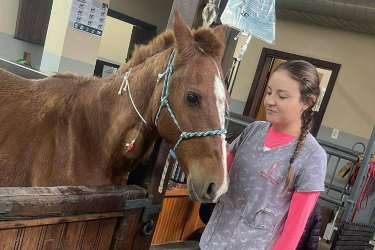 Caramelo está sendo tratado no Hospital Veterinário da Universidade Luterana do Brasil (Ulbra)