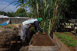 FAVELA DO HAITI TEM PLENO EMPREGO