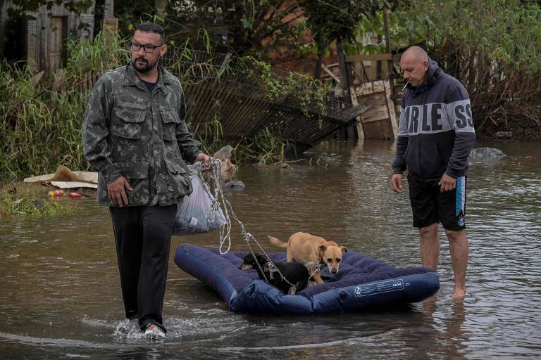 Moradores do bairro Harmonia, em Canoas (RS), enfrentam rua alagada para retirar pertences de suas residências. Um deles puxa um colchão inflável com um cachorro em cima