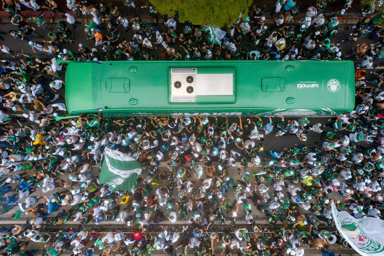 Advogado é condenado por ficar com R$ 819 mil pagos a cliente pelo Palmeiras