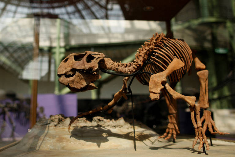 O esqueleto imponente de um dinossauro é exibido em um museu, com estrutura óssea bem preservada e montada em uma pose dinâmica