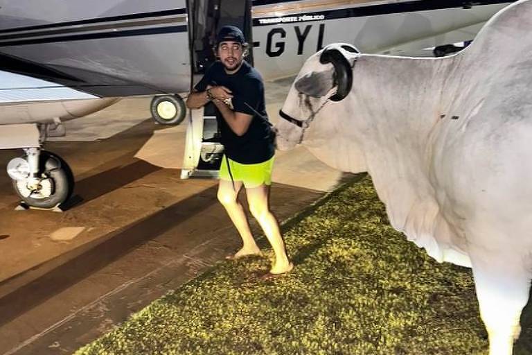 Nattanzinho resgata cachorros e tenta 'sequestrar' vaca de Henrique e Juliano