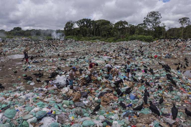 Seis pessoas, com rostos pouco nítidos, procuram material reciclável em sacos plásticos espalhados em grande quantidade por uma área plana e ampla, repleta de urubus. Ao fundo se vê um grupo de grandes árvores