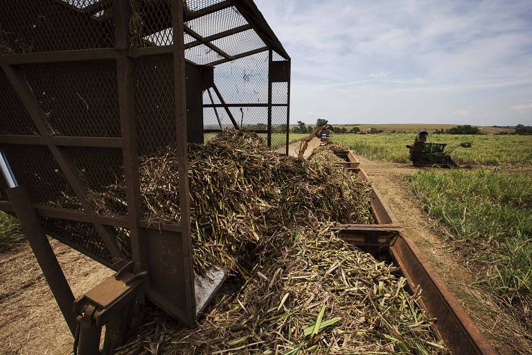 Brasil desafia complexo de vira-latas quando assunto é energia limpa