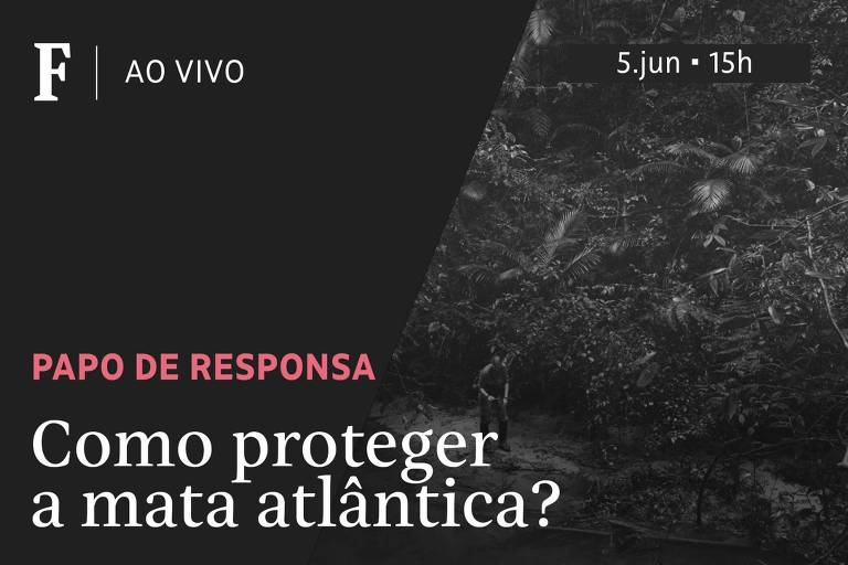 TV Folha discute soluções para a mata atlântica em live no Dia do Meio Ambiente