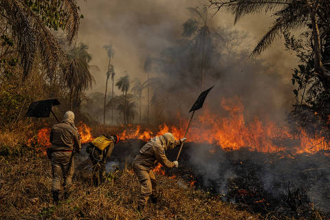Pantanal registra mais de 900% de aumento nos focos de queimadas em 2024