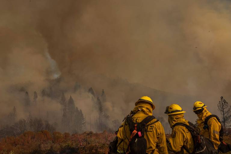 Fumaça se espalha pelo céu, subindo de uma floresta que queima. No primeiro plano, três bombeiros com roupas amarelas e capacetes estão de costas para a câmera