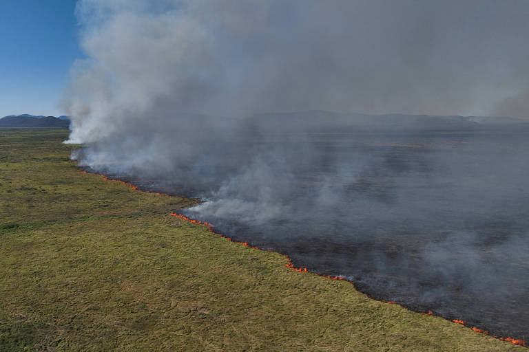 Fumaça cinza sobe em direção ao céu em planície