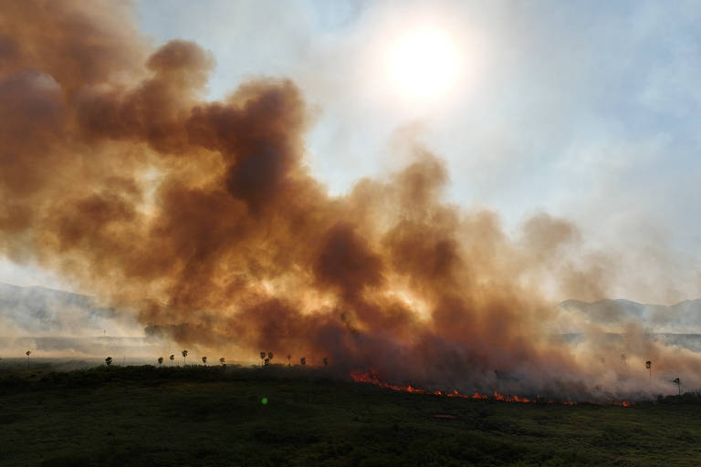 Governo Lula monta sala de situação para seca e queimadas, após aumento de focos no pantanal