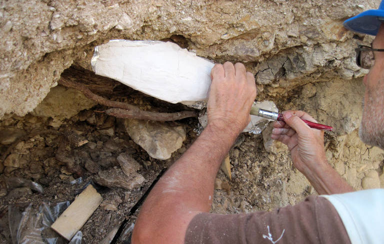 Um arqueólogo meticulosamente escava o solo, revelando um grande fóssil branco com ferramentas especializadas. O foco está nas mãos do profissional, que trabalha com precisão para preservar a integridade do achado.