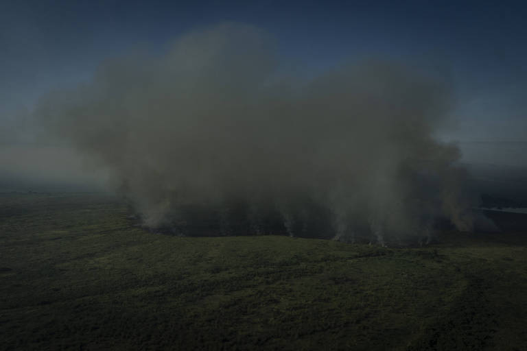 Brigadistas enfrentam deslocamento de até 7 horas para combater fogo em áreas isoladas do pantanal