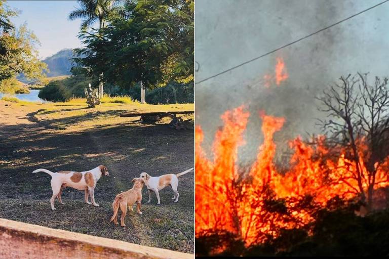 Incêndio fazenda Lúcia Veríssimo