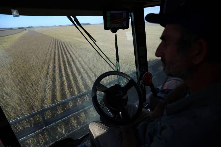 Agricultores argentinos demoram a exportar e atrapalham planos de Milei