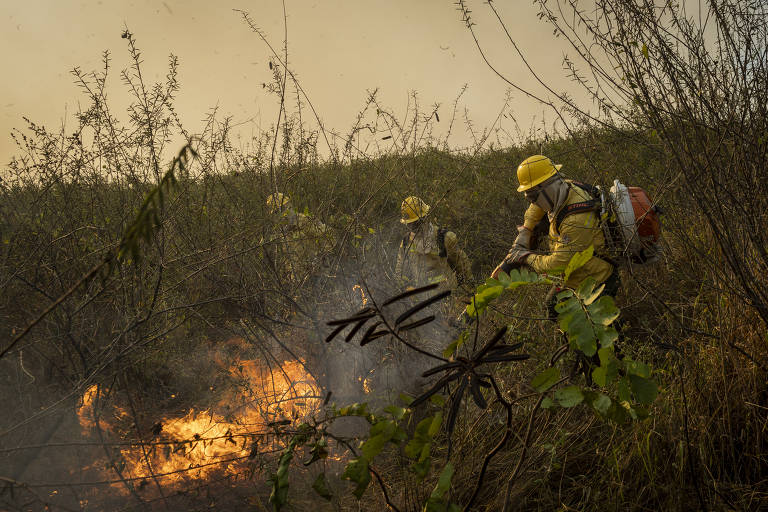 Marina Silva diz que foram identificados locais em que começaram incêndios no pantanal