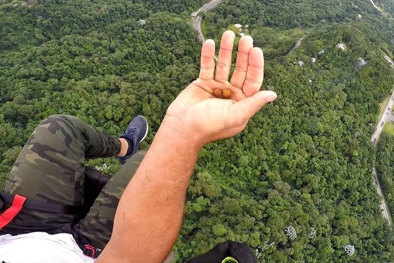 Passageiros de Luan jogam sementes durante os voos 