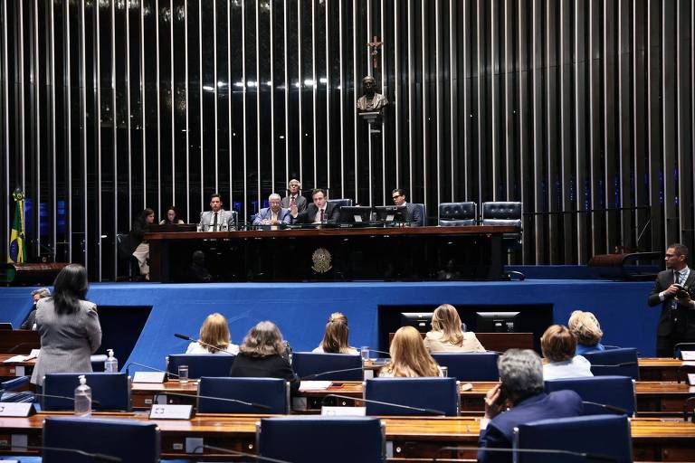 Imagem mostra Pacheco sentado na mesa do plenário do Senado e sete senadoras de costas, sentadas; Damares Alves está de pé ao lado delas