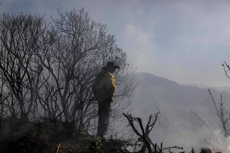 Incêndio está controlado na parte alta do Parque Nacional do Itatiaia, afirma ICMBio