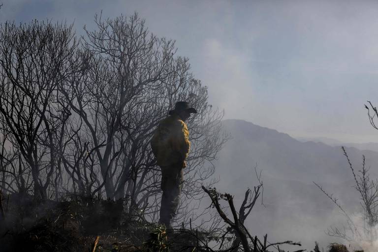 A imagem mostra um bombeiro de pé, usando um chapéu e uma jaqueta amarela, observando uma área queimada. Ele está cercado por árvores secas e queimadas, com fumaça visível no ar. Ao fundo, é possível ver montanhas cobertas por uma névoa.