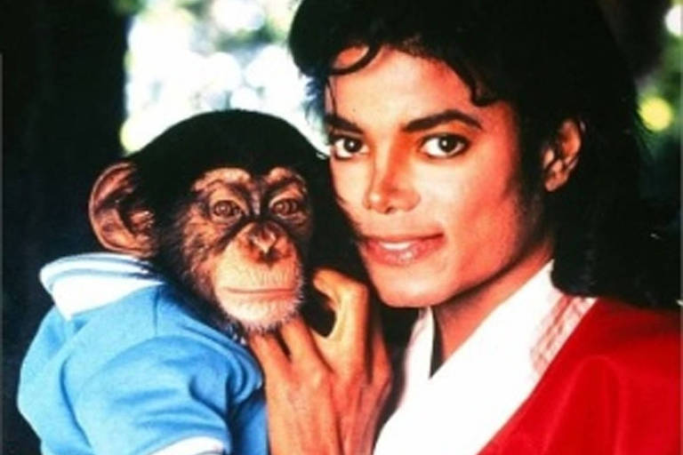 Chimpanzé de Michael Jackson ainda está vivo e mora em santuário na Flórida