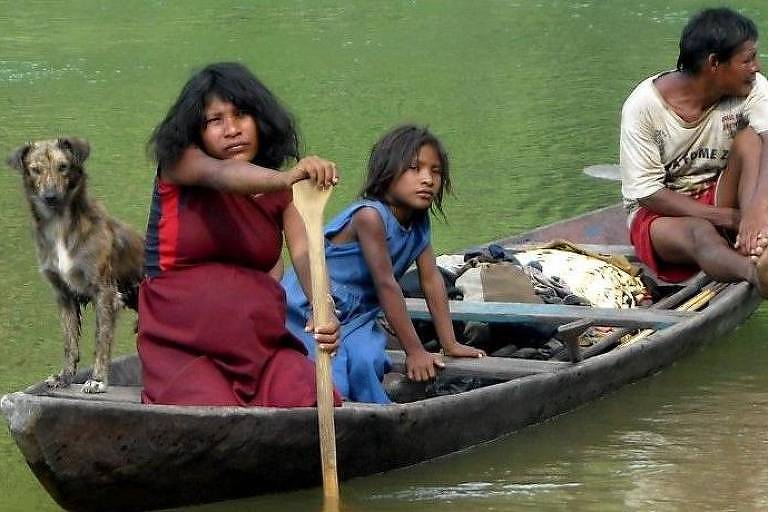 'A língua que falamos determina como pensamos': americano que cresceu com indígenas na Amazônia explica relação