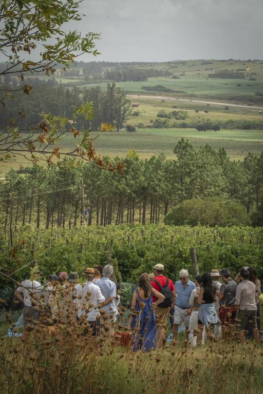 Turistas na bodega Alto de la Ballena, na região de Punta del Este, no Uruguai