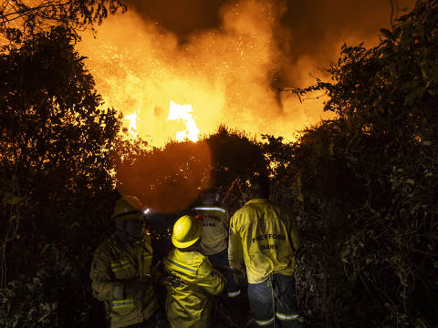 CORUMBÁ, MS, BRASIL, 17-06-2024: Brigadistas do Prevfogo do Ibama combatem incêndios em frente a região da APA Baía Negra (Área de Proteção Ambiental), as margens do Rio Paraguai, no Pantanal, em Corumbá. (Foto: Bruno Santos/ Folhapress) *** FSP-AMBIENTE*** EXCLUSIVO FOLHA***