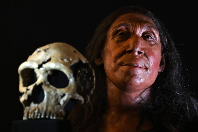 Por que o DNA de humanos modernos não tem o cromossomo Y de neandertais