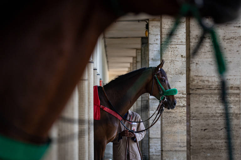 Nunes fala em criar centro de equoterapia em parque que ficaria no lugar do Jockey