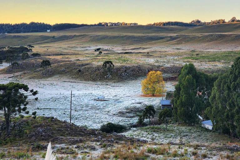 São Joaquim (SC) tem recorde de frio no ano, com -7,8° C, e sensação térmica chega a -19°C