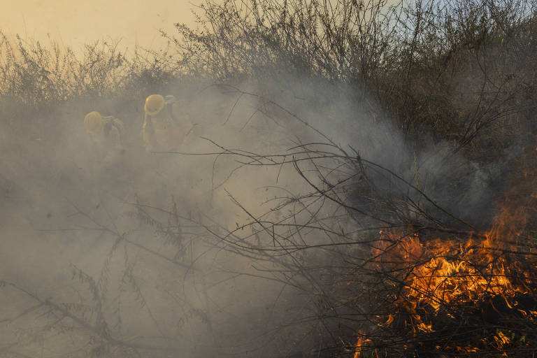 A imagem mostra um incêndio em uma área de vegetação de espinheiros, que têm cerca de dois metros de altura. Há uma grande quantidade de fumaça cinza que obscurece parte da cena, enquanto chamas laranjas são visíveis à direita. Galhos secos e arbustos estão presentes, indicando um ambiente de vegetação densa. Ao fundo, atrás da fumaça, há dois brigadistas 