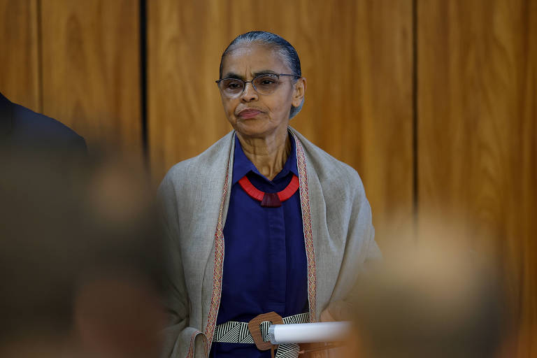 Marina Silva diz que mais da metade dos incêndios no pantanal foram extintos