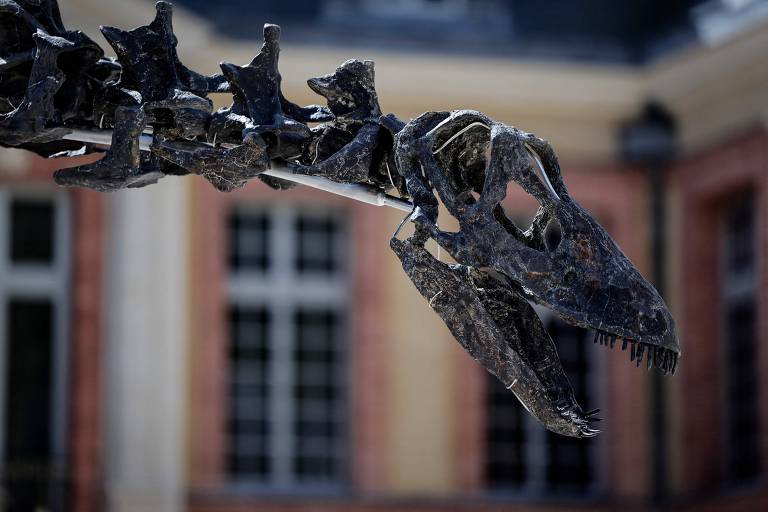 O fóssil, batizado de Vulcain, será leiloado em novembro deste ano na França