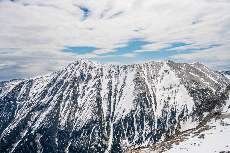 Anéis de árvores permitem reconstruir registros de avalanches desde os anos 1600