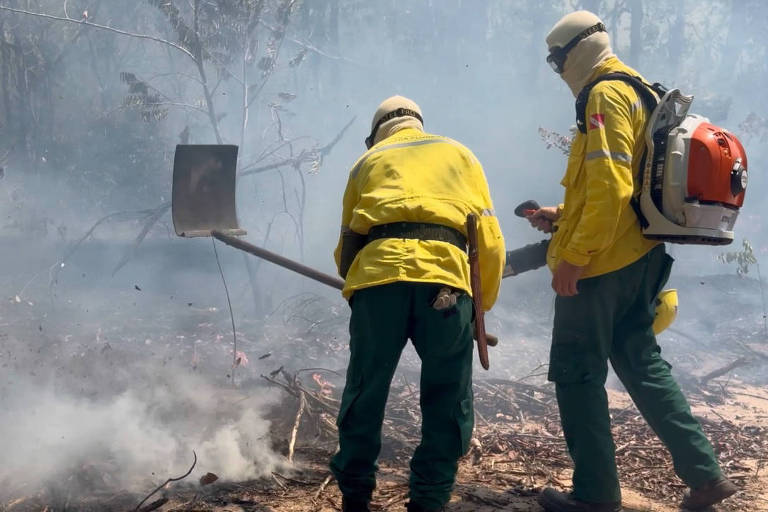 Dois brigadistas, vestidos com uniformes amarelos e calças verdes, estão combatendo um incêndio florestal. Eles usam equipamentos de proteção, incluindo capacetes e máscaras. Um dos bombeiros está segurando um equipamento igual uma pá, enquanto o outro carrega um soprador de folhas nas costas. A área ao redor está coberta de fumaça e cinzas, com árvores e vegetação ao fundo.