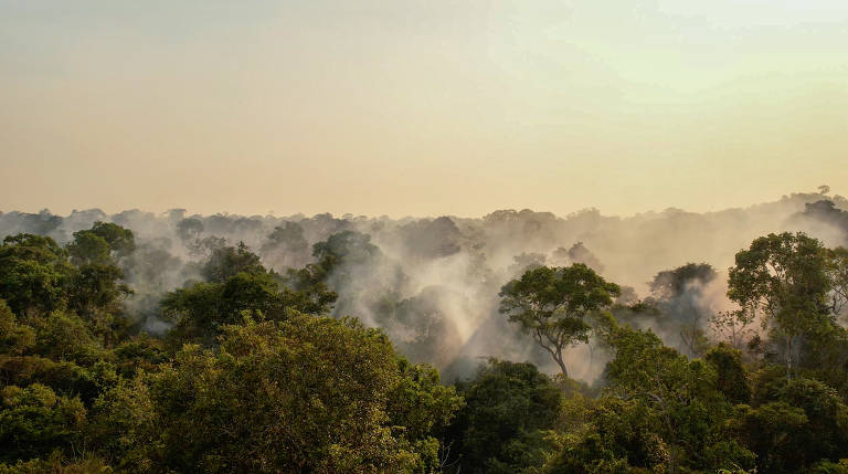 Uma agenda positiva para o agro no clima