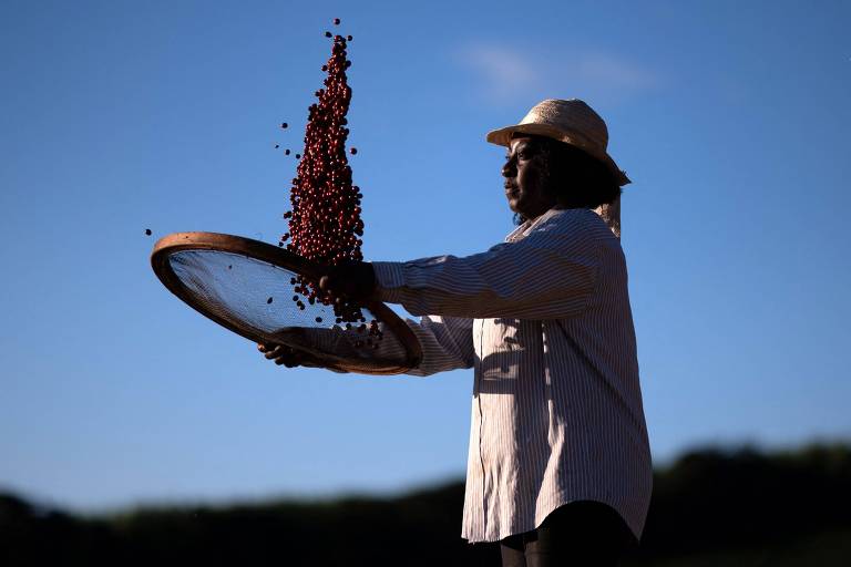 FMI melhora projeção de crescimento do Brasil em 2025 para 2,4%